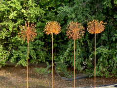 Set of 4 Rusty Metal Dandelion Garden Stake 3D Hand-Welded Design