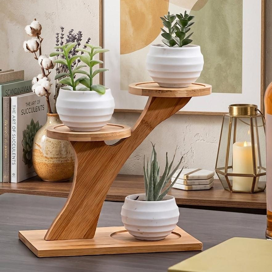 2-Tier Bamboo Plant Stand with Ceramic Pots, Modern Desktop Shelf, Balcony Decor Organizer